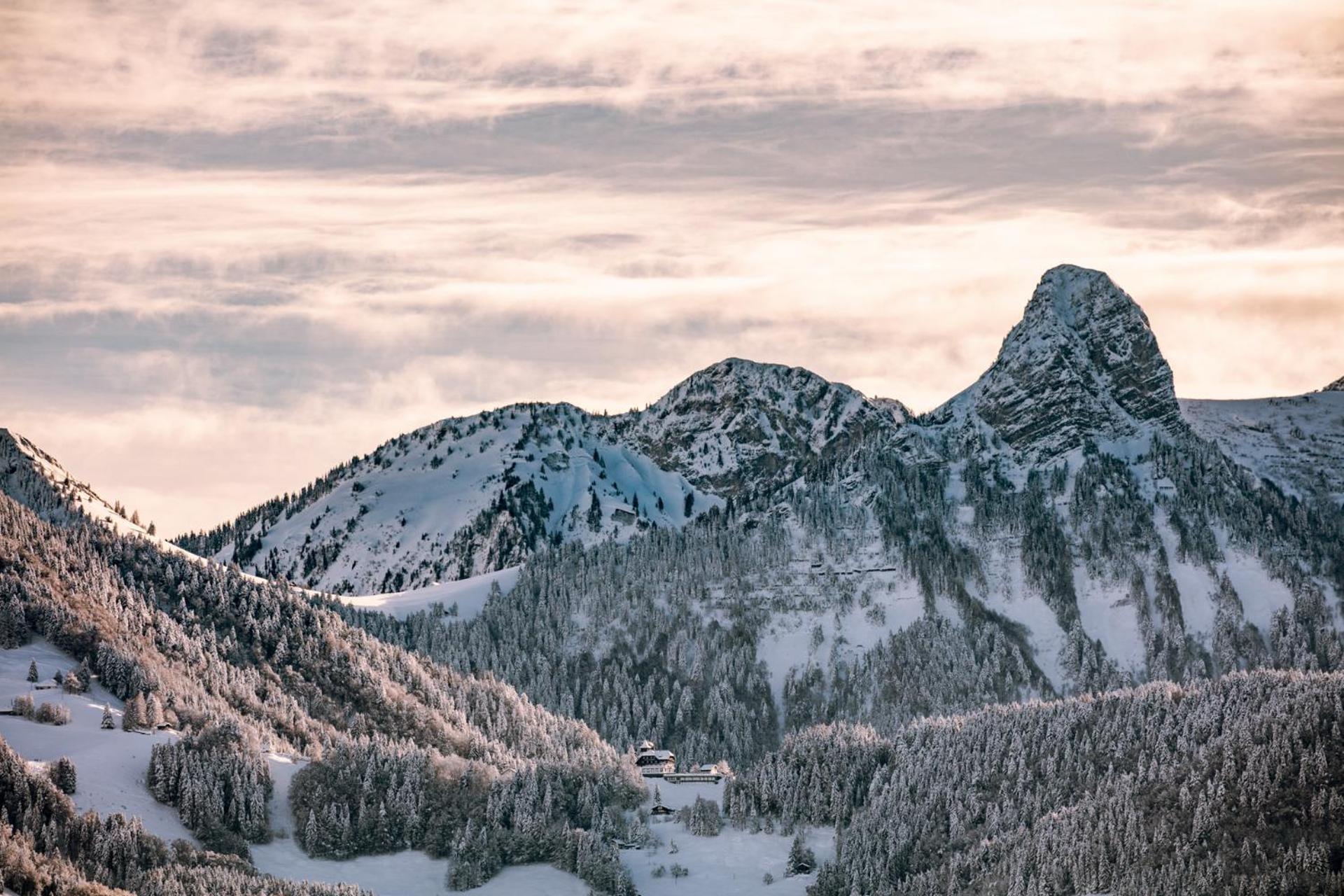 Le Toit De Chardonne - Entre Alpes Et Lac Leman Bagian luar foto
