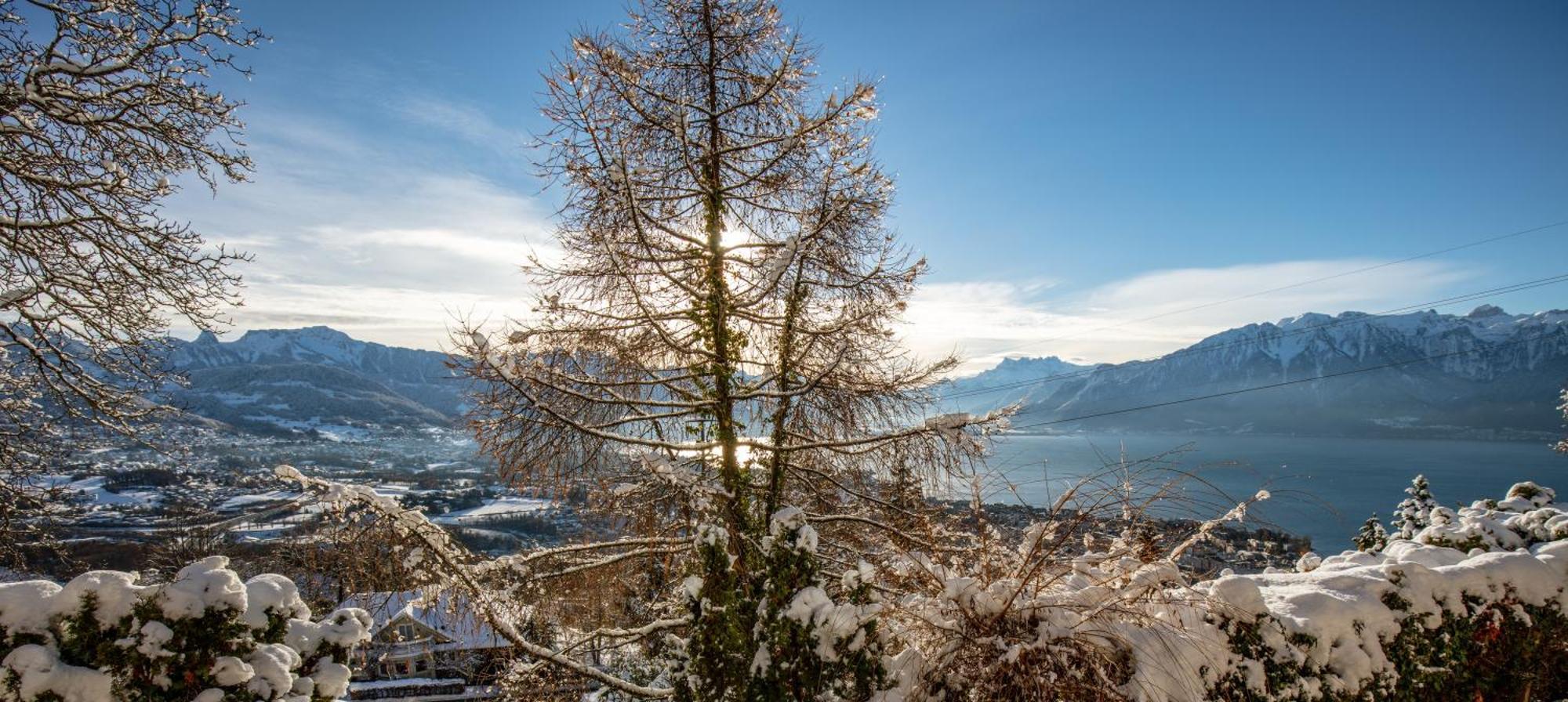 Le Toit De Chardonne - Entre Alpes Et Lac Leman Bagian luar foto